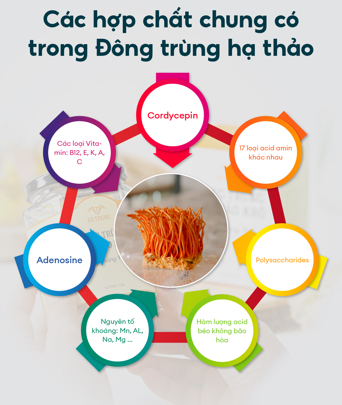 Công dụng của đông trùng hạ thảo