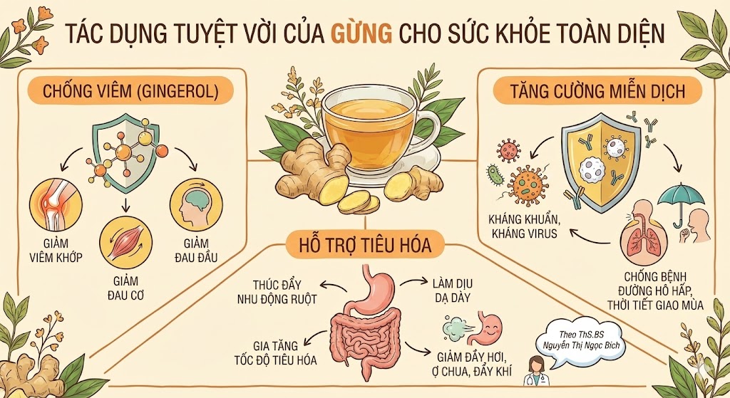 Lợi ích của gừng
