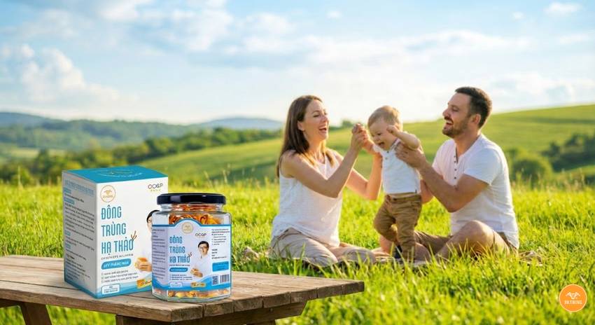 Đông trùng hạ thảo cho nam giới