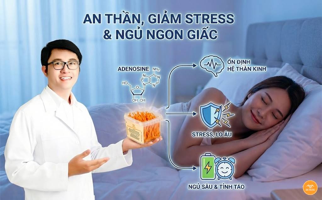 Đông trùng hạ thảo cho nữ giới