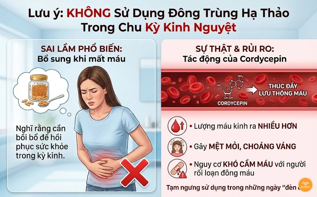 Đông trùng hạ thảo cho nữ giới