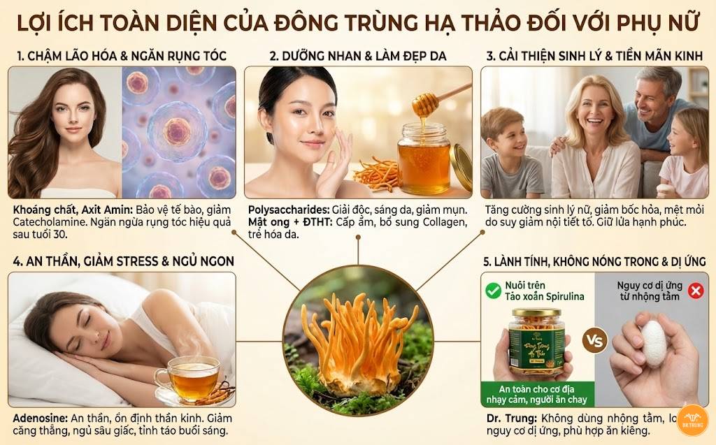 Đông trùng hạ thảo cho nữ giới