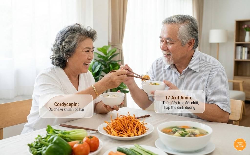 Đông trùng hạ thảo đối với người cao tuổi