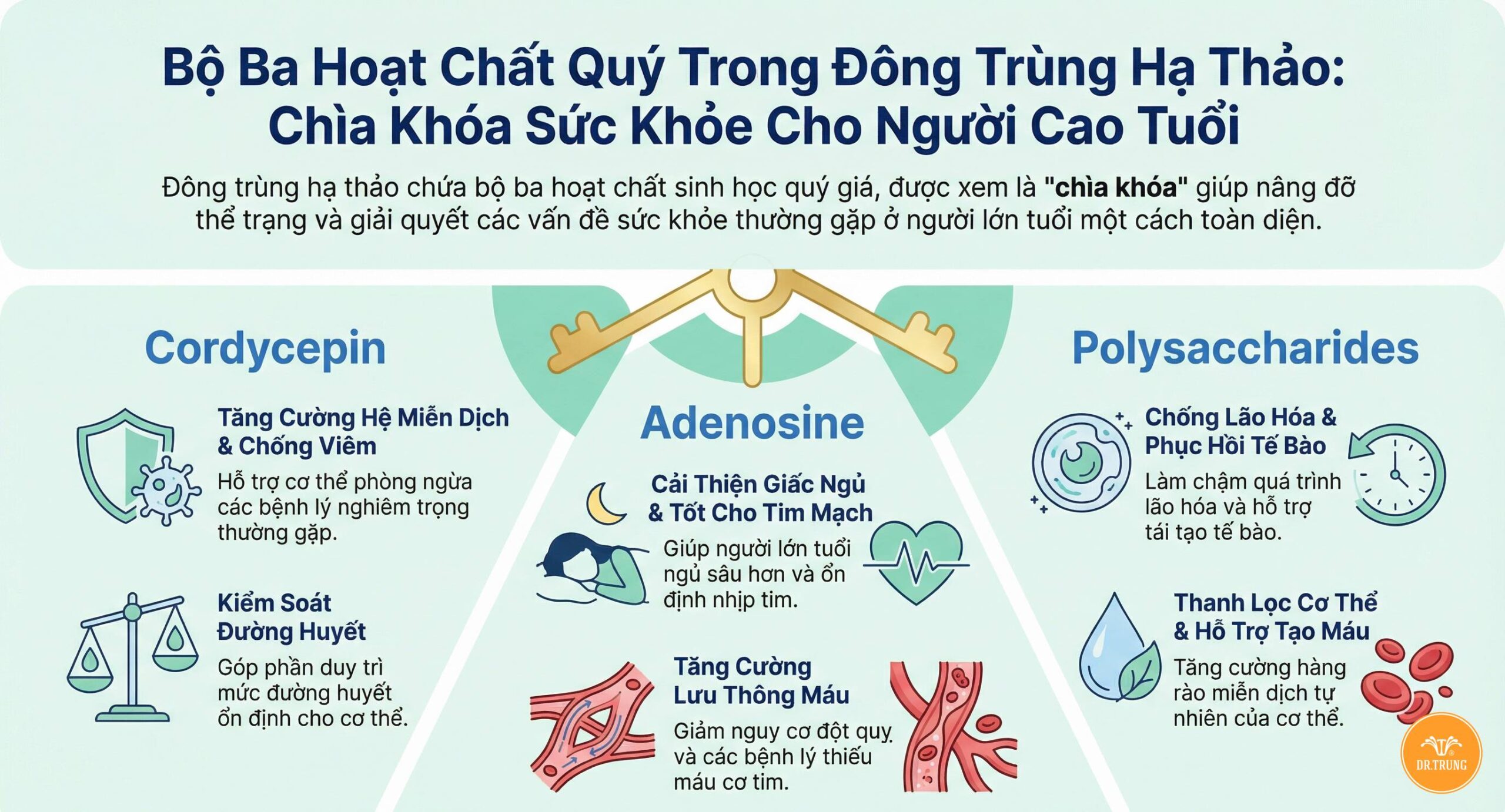 Đông trùng hạ thảo đối với người cao tuổi
