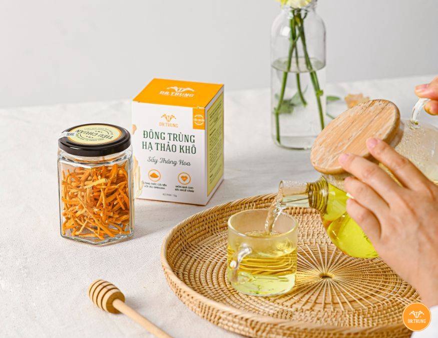 Đông trùng hạ thảo là gì 