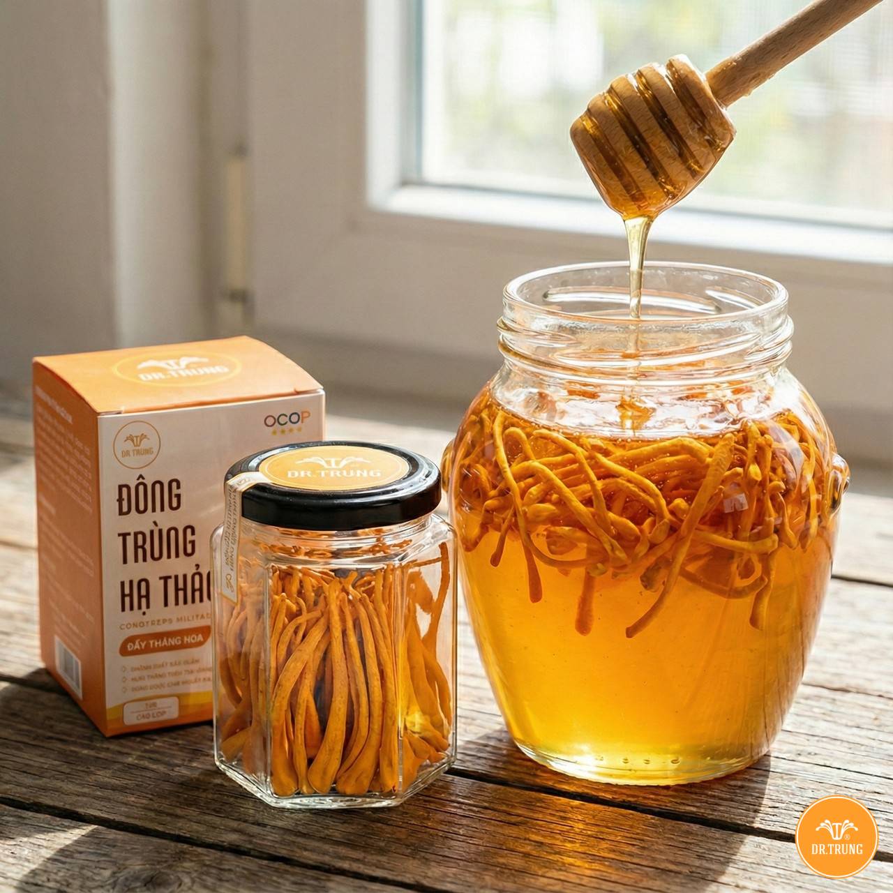 Đông trùng hạ thảo là gì 