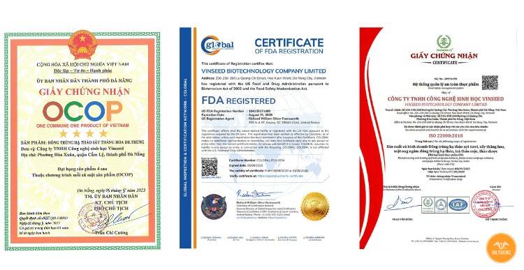 Đông trùng hạ thảo là gì