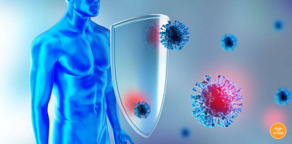 Đông trùng hạ thảo là gì 