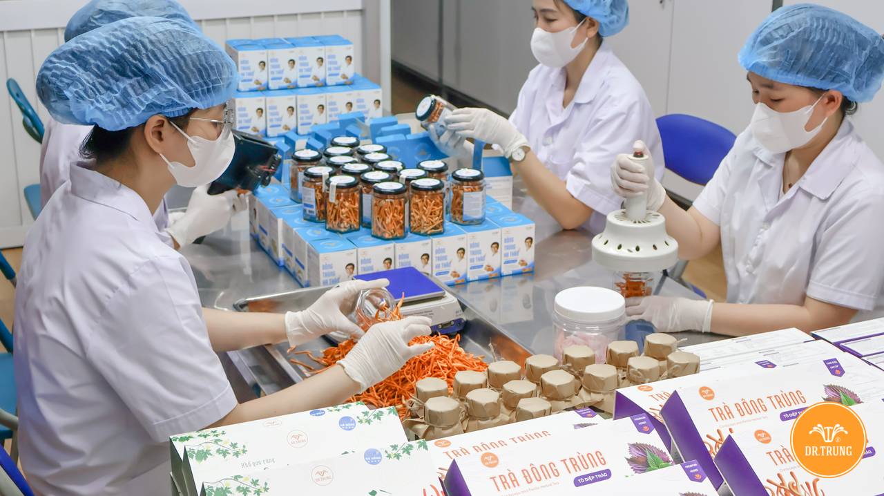 Mua đông trùng hạ thảo tại Đà Nẵng