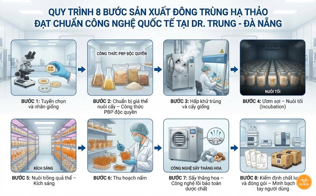 Quy trình nuôi đông trùng hạ thảo tại Đà Nẵng