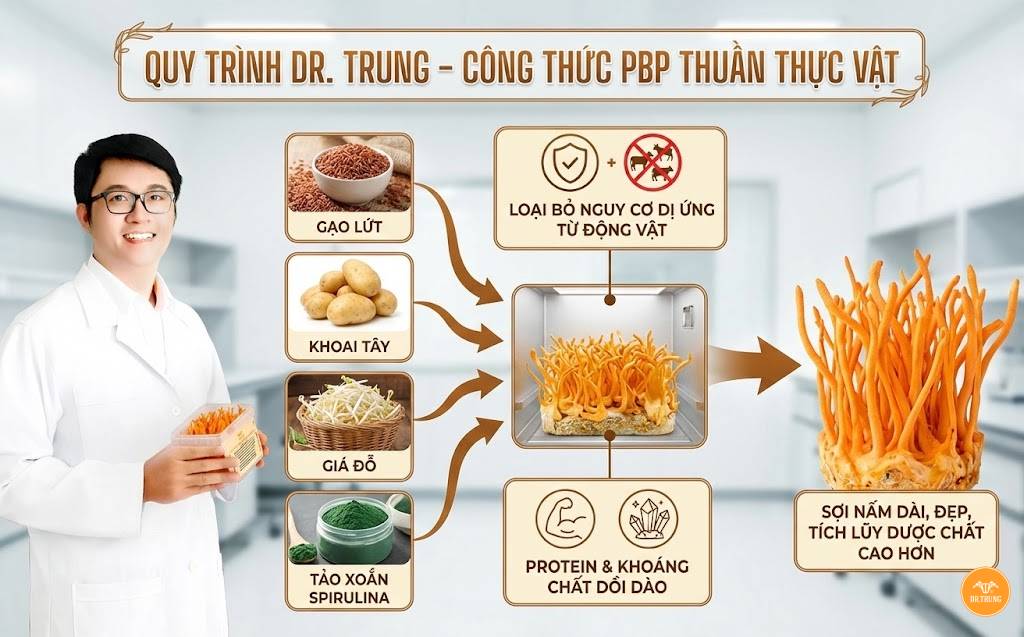 Quy trình nuôi đông trùng hạ thảo tại đà nẵng