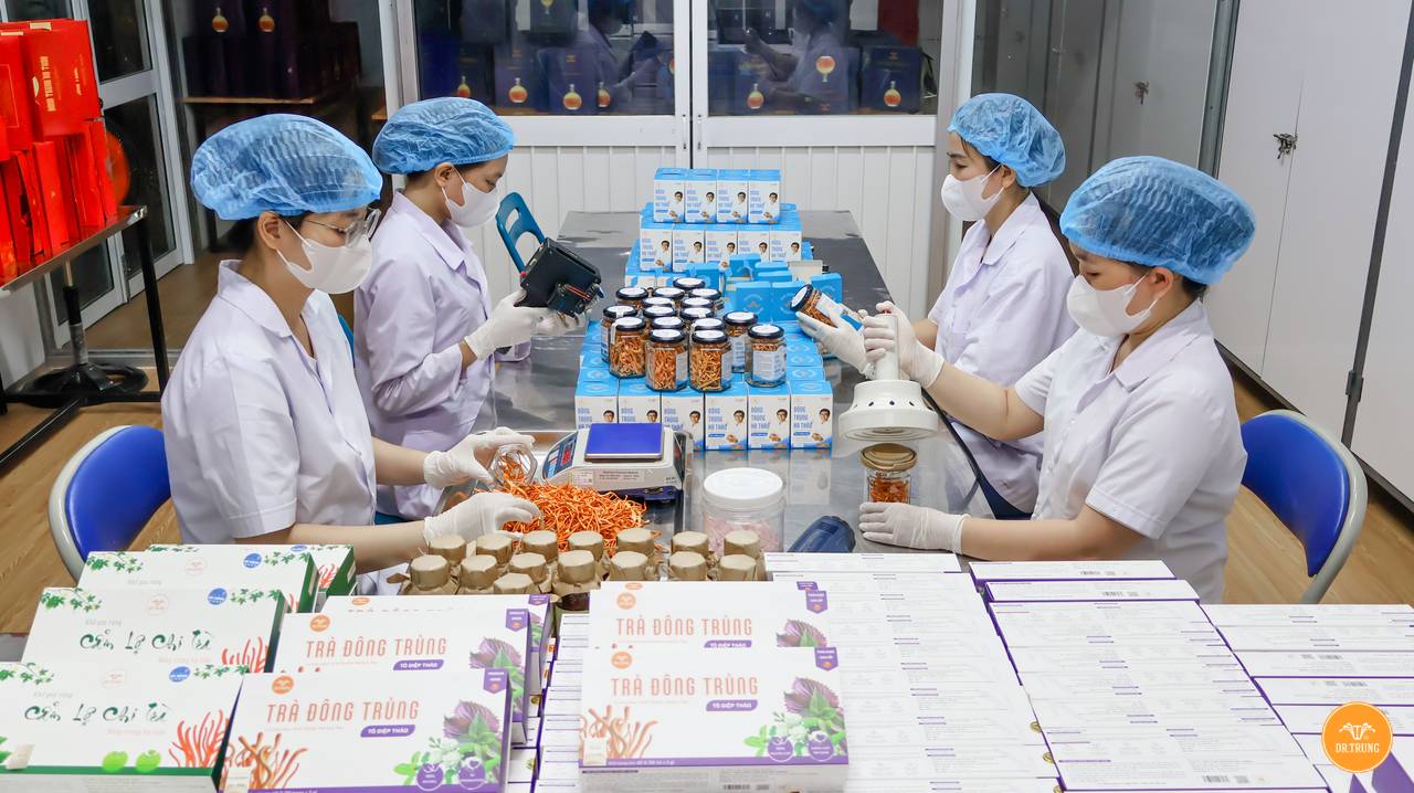 Đội ngũ Dr Trung đóng gói set quà Tết Doanh Nghiệp Đà Nẵng Đông trùng hạ thảo