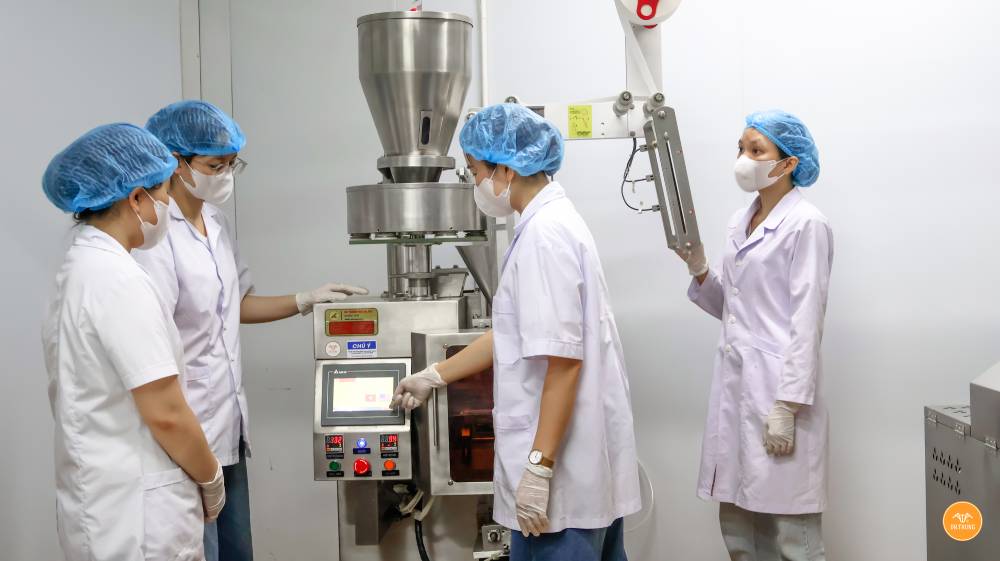 Hệ thống sản xuất đông trùng hạ thảo hiện đại