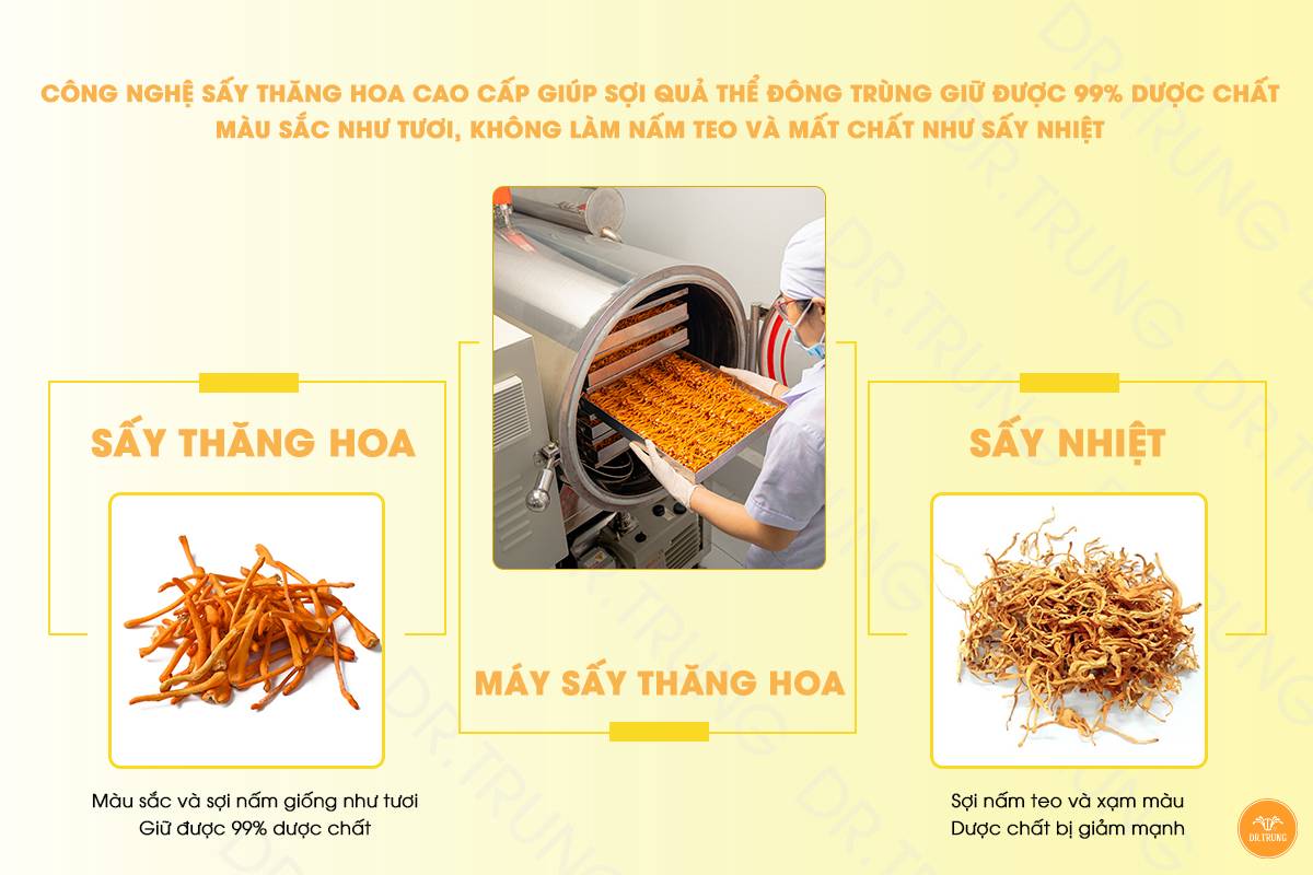 Review đông trùng hạ thảo Dr. Trung