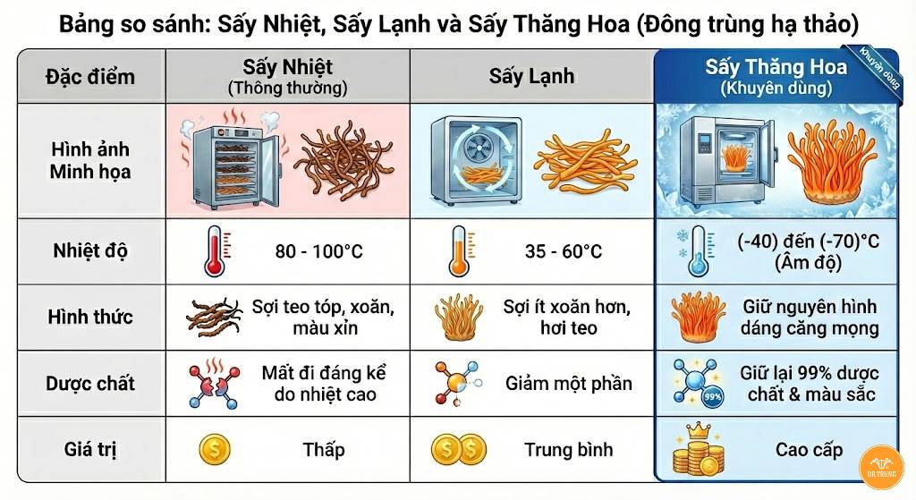 Tiêu chí chọn mua đông trùng hạ thảo