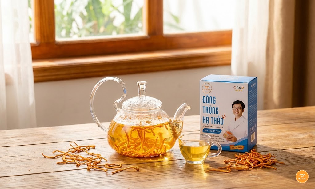 Uống đông trùng hạ thảo vào lúc nào là tốt nhất