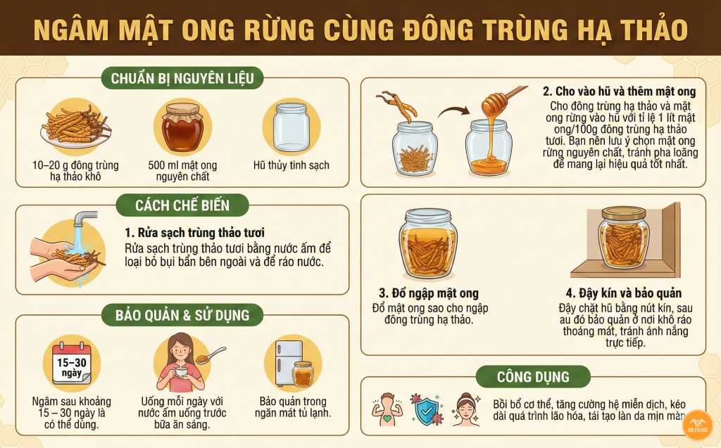 Cách bảo quản đông trùng hạ thảo tươi