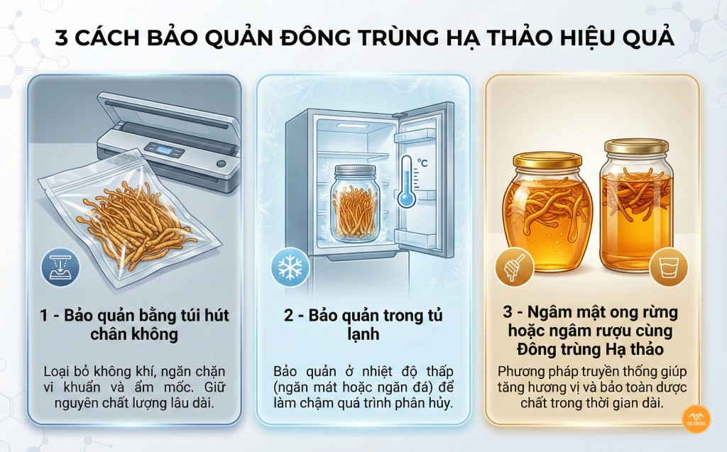 Cách bảo quản đông trùng hạ thảo tươi